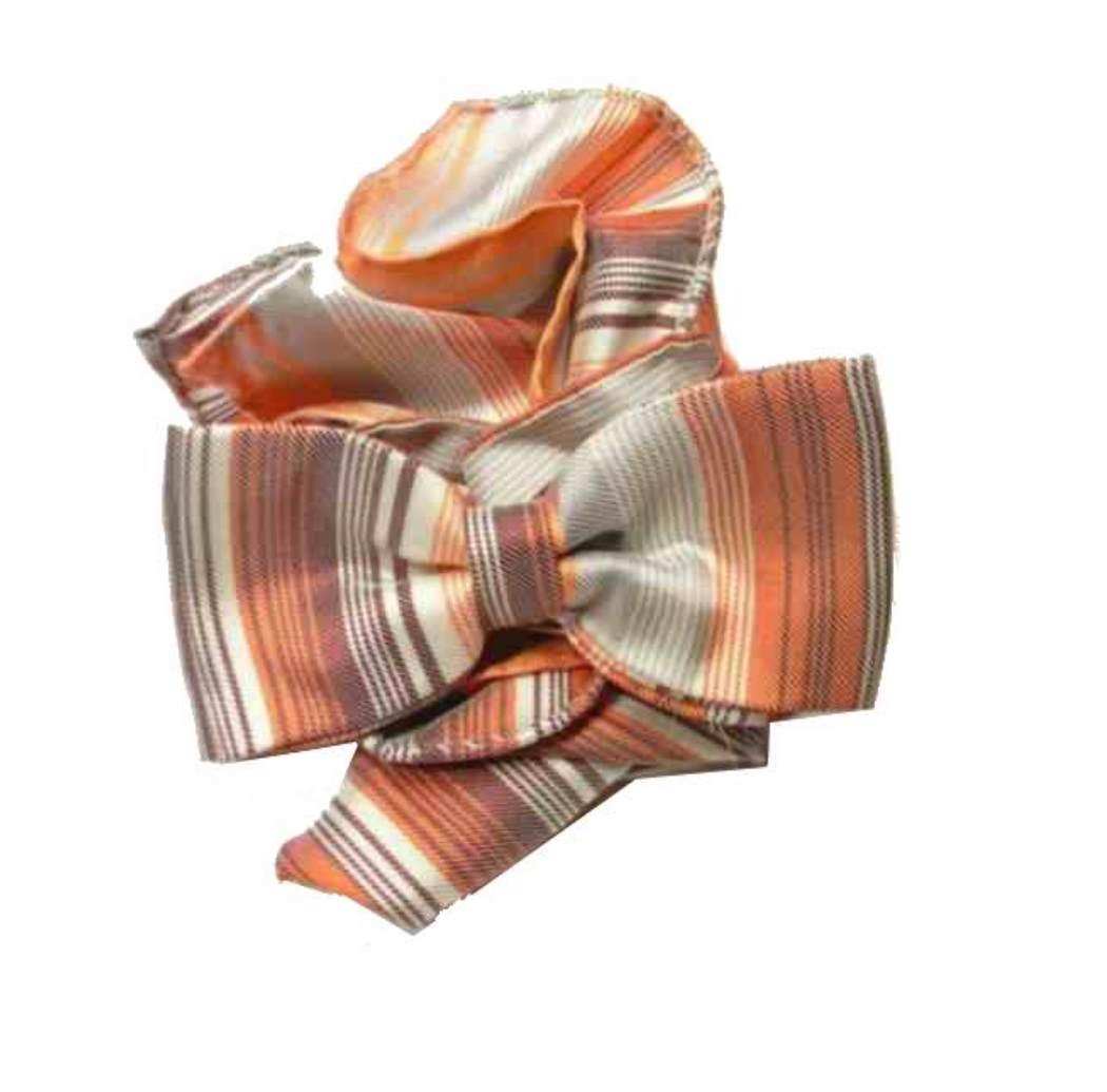 Cravate À Papillon Orange Rayée En Soie Et Pochette Rayée - Imagen 2 de 2