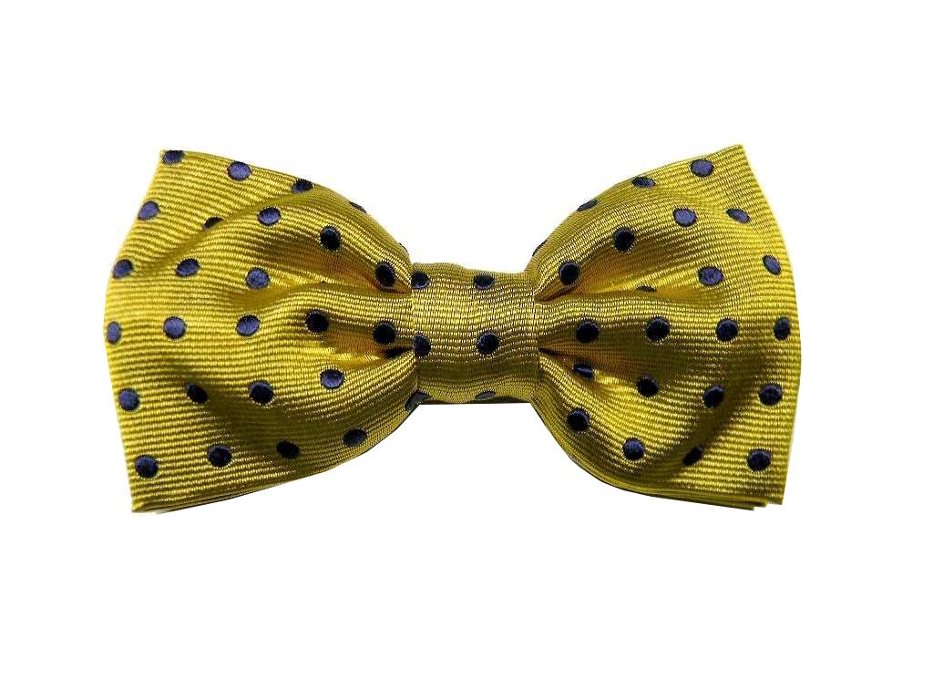 Papillon uomo seta verde rosa giallo arancio beige azzurro farfalla a pois blu - Foto 10 di 11