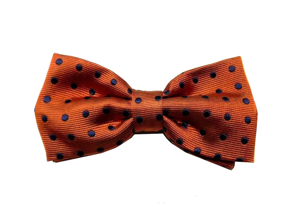Papillon uomo seta verde rosa giallo arancio beige azzurro farfalla a pois blu - Foto 8 di 11